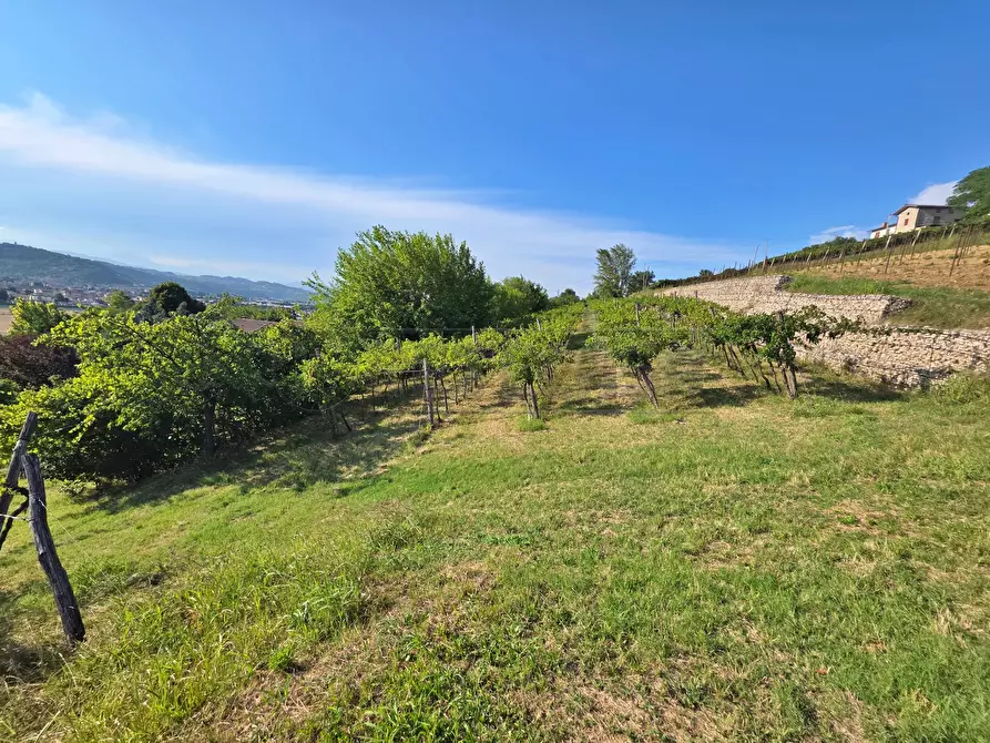 Immagine 8 di Terreno agricolo in vendita  in Via Selva Alta 95 a Montecchio Maggiore