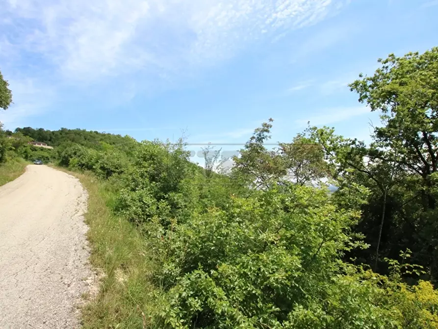 Immagine 14 di Terreno agricolo in vendita  in Via Castellaro a Castegnero