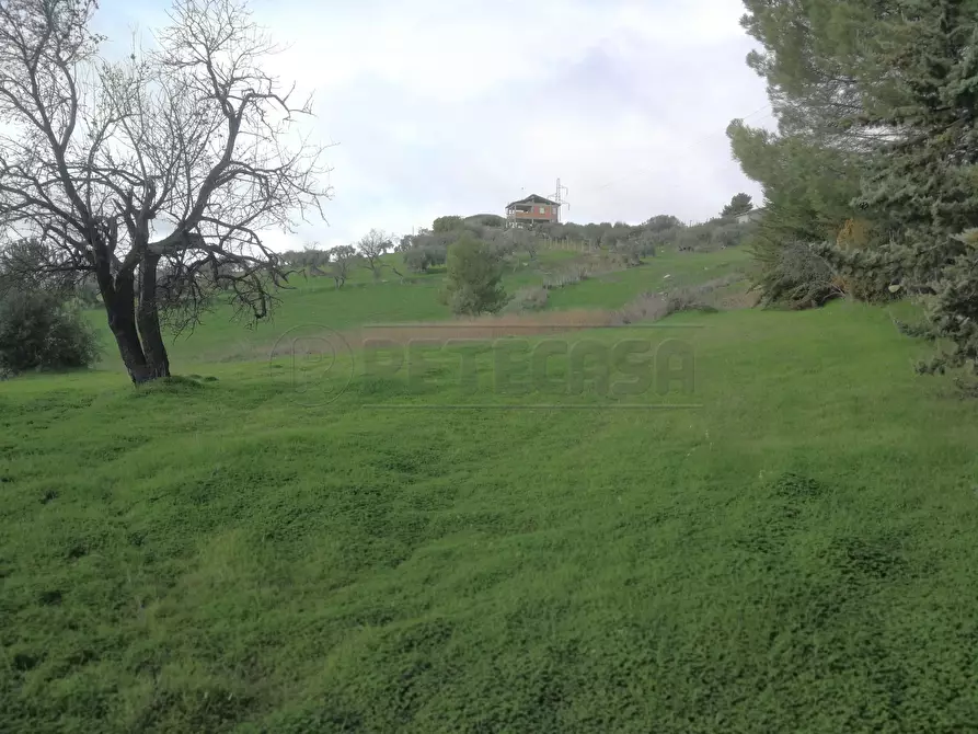 Immagine 1 di Terreno agricolo in vendita  in CONTRADA DUE FONTANE a Caltanissetta