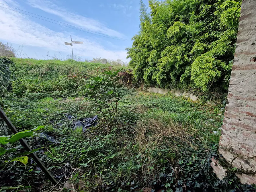 Immagine 3 di Rustico / casale in vendita  in Via Nervi a San Daniele Po