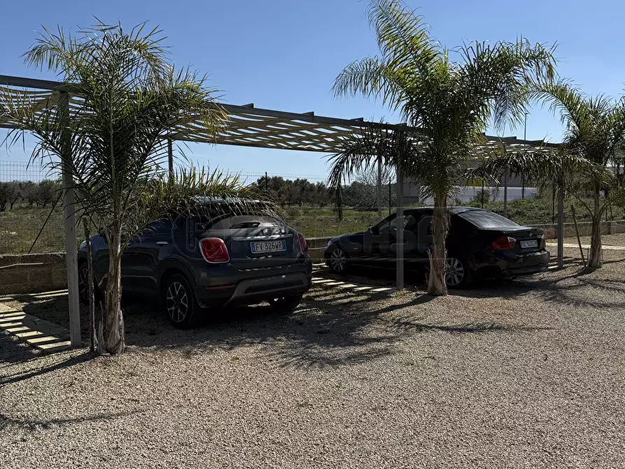 Immagine 22 di Pentalocale in vendita  in Via delle tessitrici 1 a Sannicola