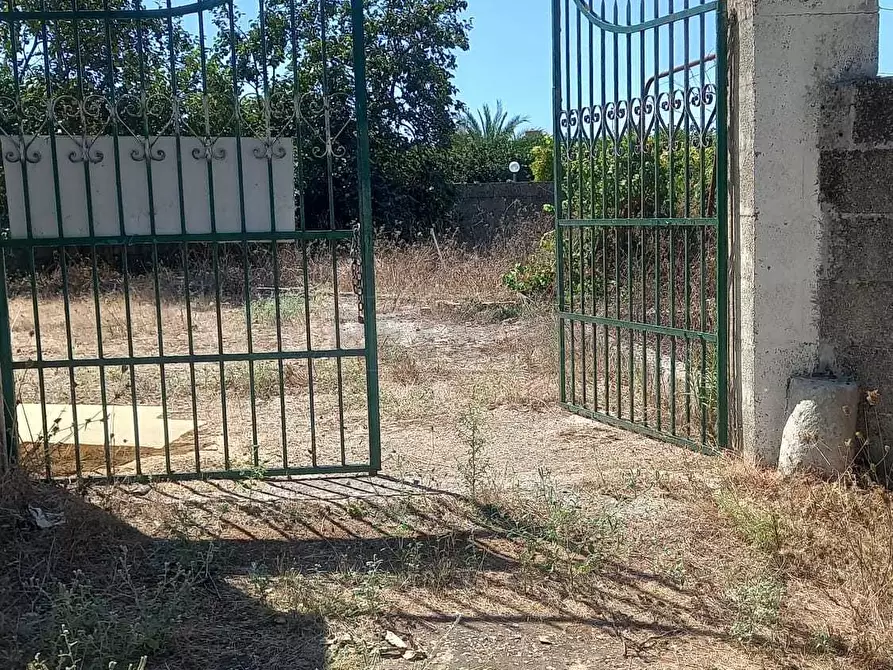 Immagine 4 di Terreno agricolo in vendita  a Maglie