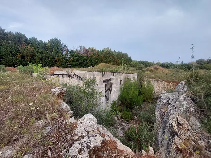 Immagine 6 di Terreno agricolo in vendita  in Contrada Maccallè a Muro Leccese