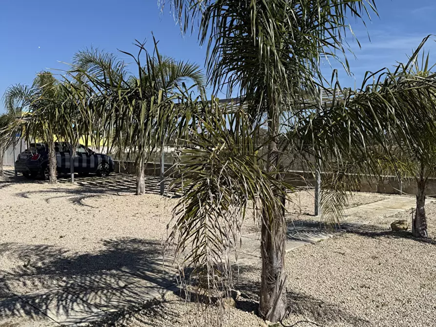 Immagine 25 di Pentalocale in vendita  in Via delle tessitrici 1 a Sannicola