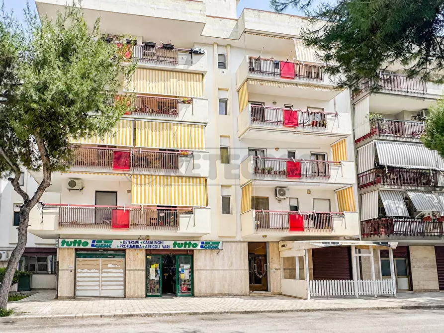 Immagine 15 di Trilocale in vendita  in Via Sacerdote Giovanni di Leo 45 a Bisceglie