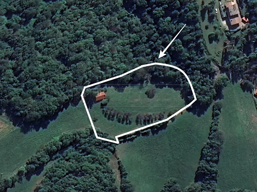 Immagine 6 di Magazzino in vendita  in Via Grigolati a Cornedo Vicentino