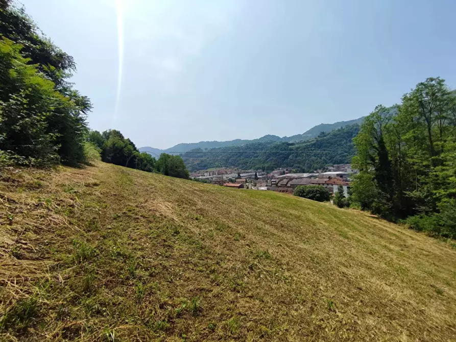 Immagine 5 di Terreno agricolo in vendita  in Via Sgaggeri 4 a Chiampo