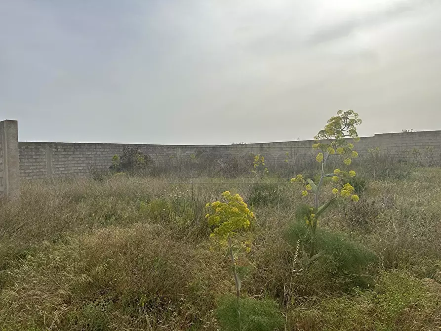 Immagine 11 di Attività artigianale in vendita  a Mazara Del Vallo