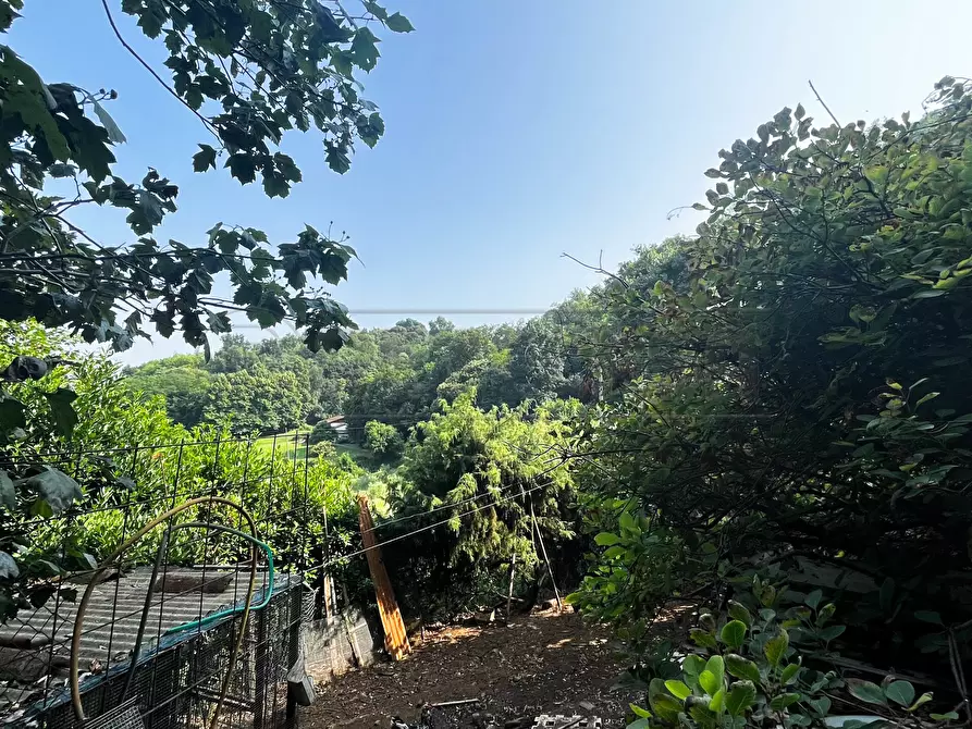 Immagine 35 di Terreno agricolo in vendita  in Via Bazziola a Monteviale
