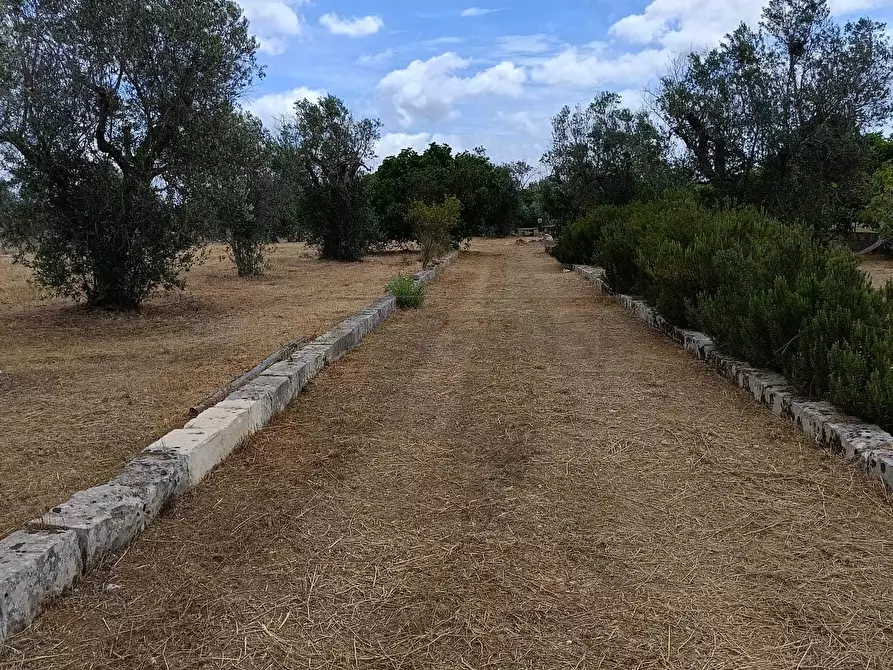 Immagine 1 di Terreno agricolo in vendita  a Corigliano D'otranto