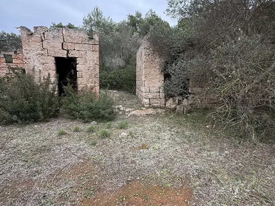 Immagine 8 di Casa indipendente in vendita  in SP286 102 a Nardo'
