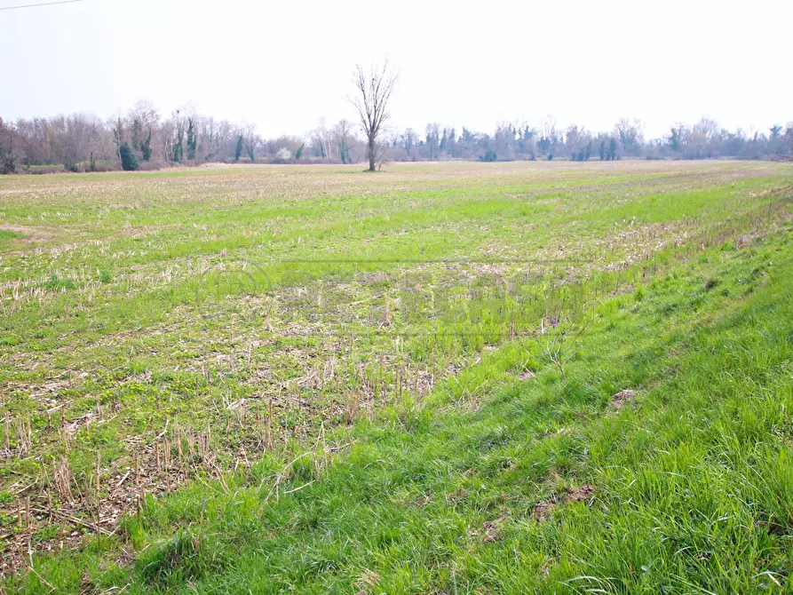 Immagine 6 di Terreno agricolo in vendita  a Villaverla
