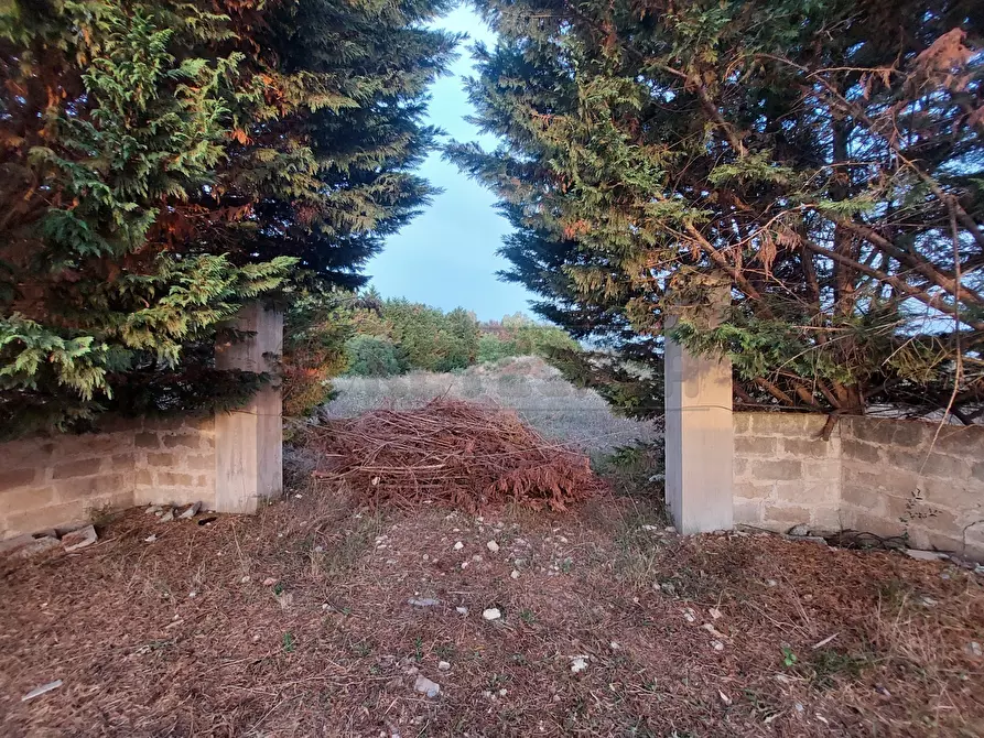 Immagine 9 di Terreno agricolo in vendita  in Contrada Maccallè a Muro Leccese