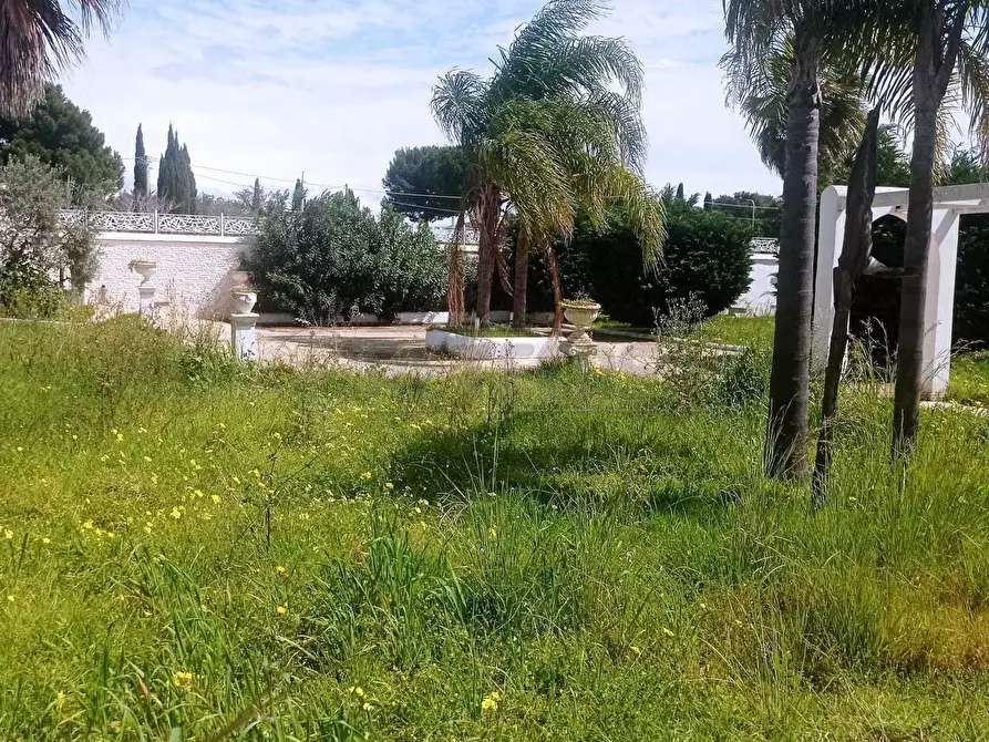 Immagine 7 di Villa in vendita  a Castelvetrano