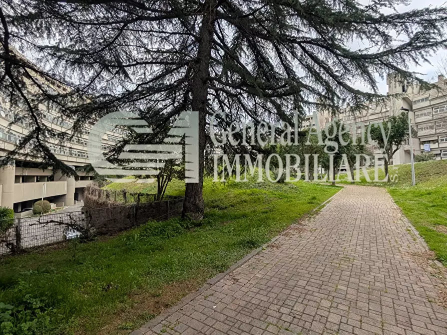 Immagine 73 di Appartamento in vendita  in VIA PAOLO BARISON 14 a Roma