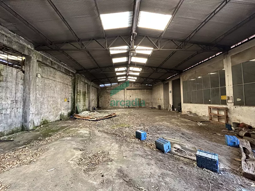 Immagine 3 di Attività artigianale in vendita  in Strada Rurale Mammagnora 3 a Bari