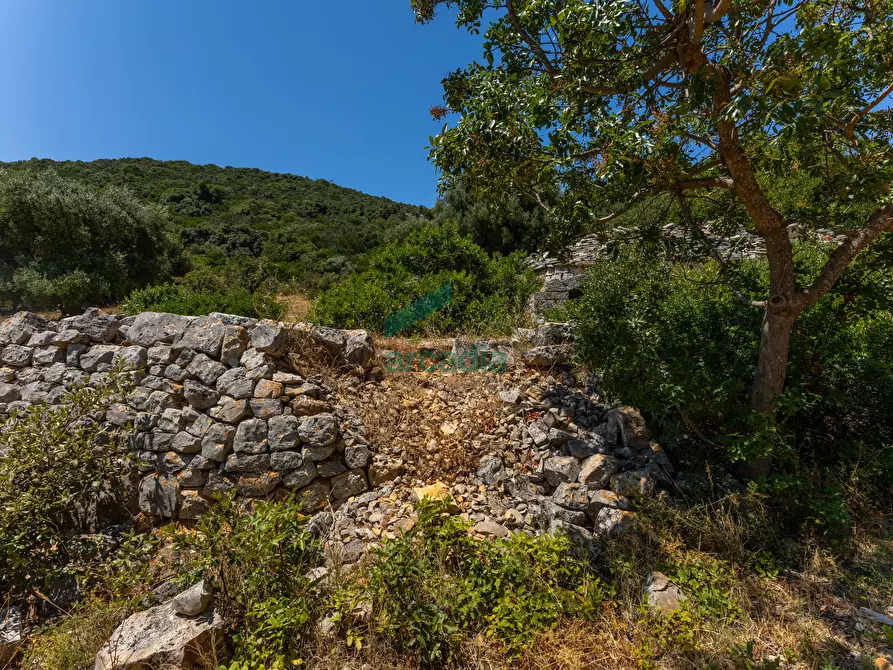 Immagine 25 di Rustico / casale in vendita  in Contrada Torchiano a Monopoli