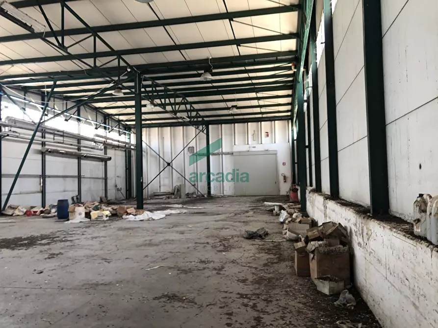 Immagine 17 di Attività artigianale in affitto  in SP231 KM 0,800 a Modugno