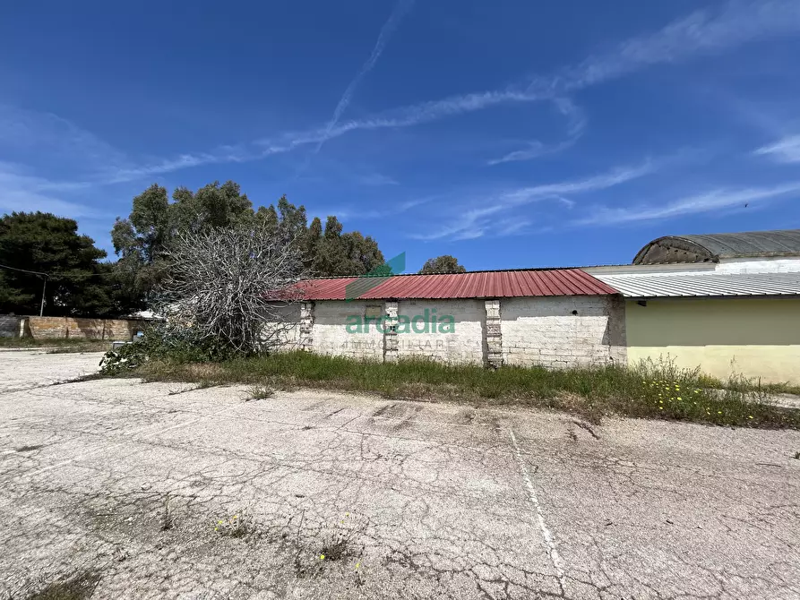 Immagine 5 di Attività artigianale in vendita  in Strada Rurale Mammagnora 3 a Bari