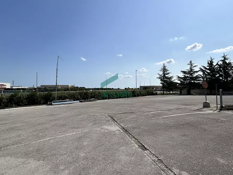 Immagine 26 di Attività artigianale in affitto  in SP231 98 a Terlizzi