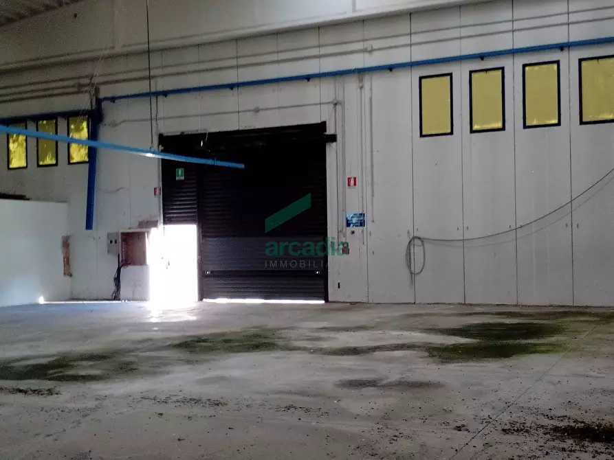 Immagine 6 di Attività artigianale in affitto  in SP231 KM 0,800 a Modugno