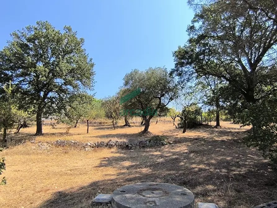 Immagine 25 di Villa in vendita  in Ctr. Ciminiera 62 a Monopoli