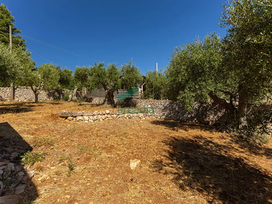Immagine 20 di Rustico / casale in vendita  in Contrada Mancini 16 a Locorotondo