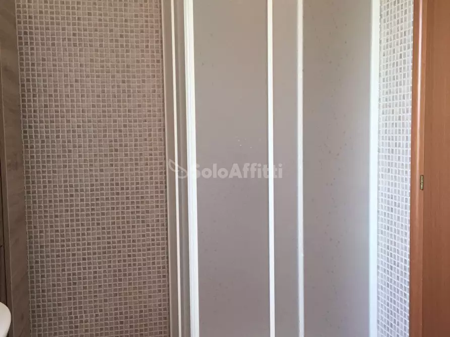 Immagine 12 di Monolocale in affitto  in Via Taglio delle Cinque Miglia a Nettuno