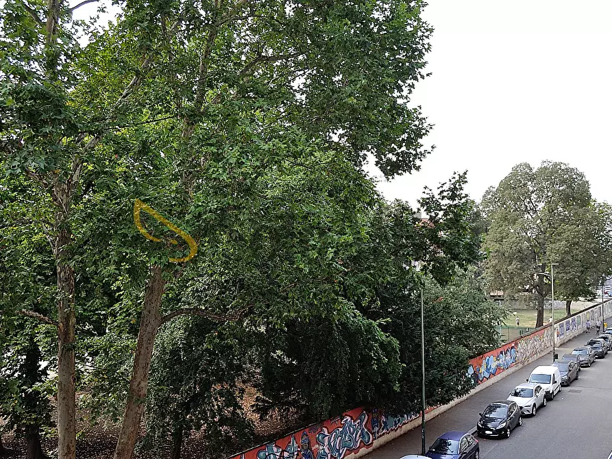 Immagine 11 di Bilocale in affitto  in Via Borgosesia 38 BIS a Torino