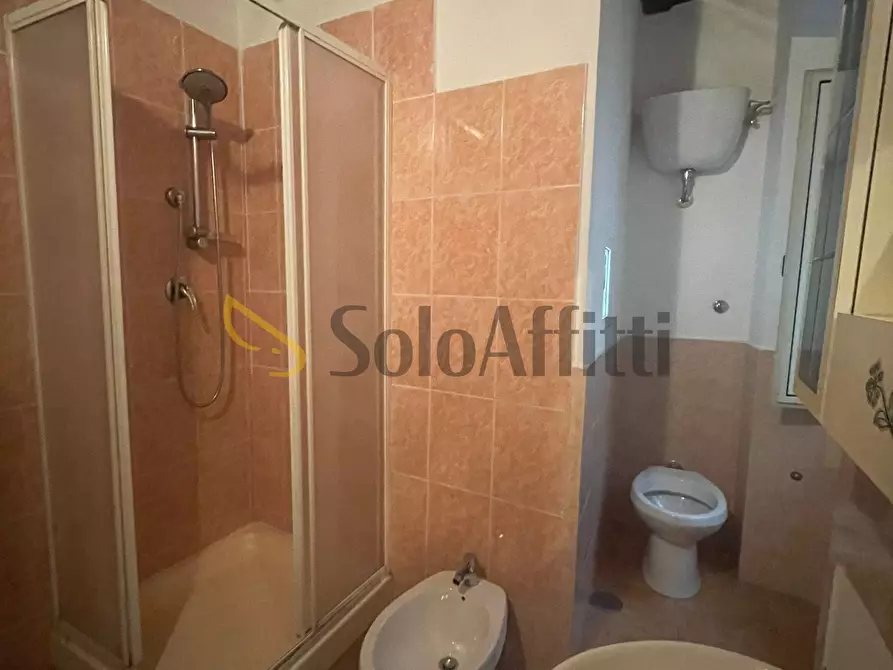 Immagine 8 di Monolocale in affitto  a Frosinone
