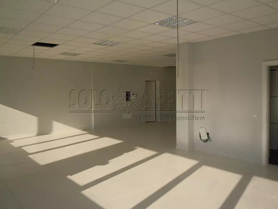 Immagine 5 di Ufficio in affitto  a Catanzaro