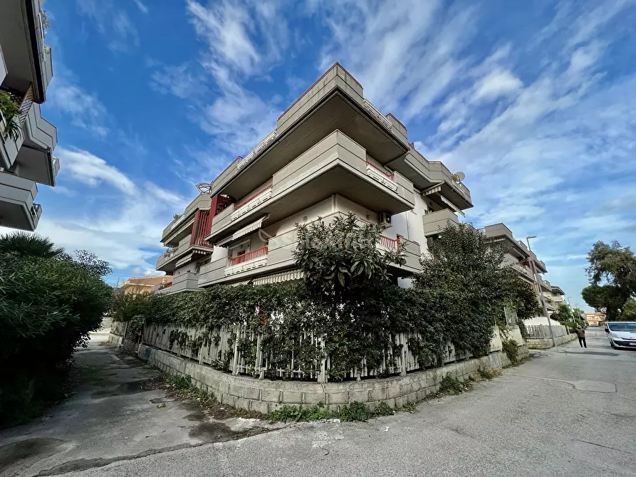 Immagine 20 di Trilocale in affitto  in silone 41 a Tortoreto