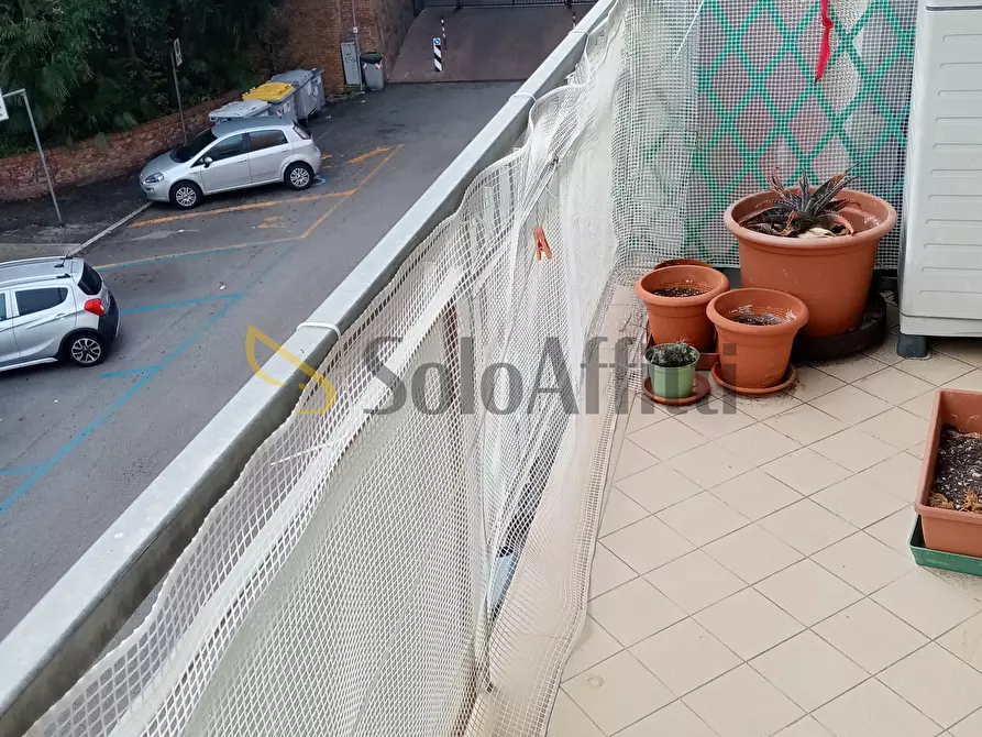 Immagine 3 di Quadrilocale in affitto  a Falconara Marittima