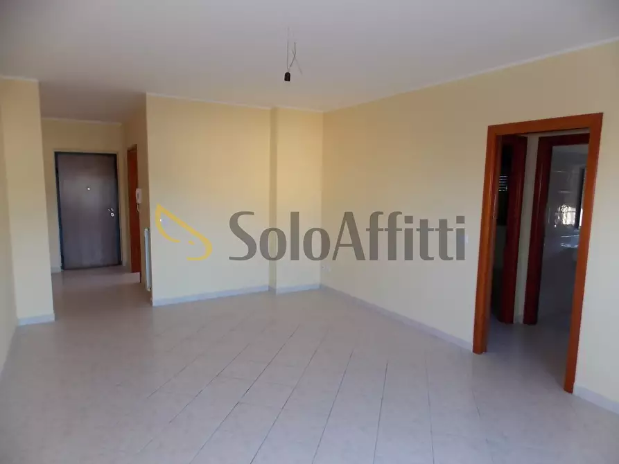 Immagine 2 di Trilocale in affitto  a Catanzaro