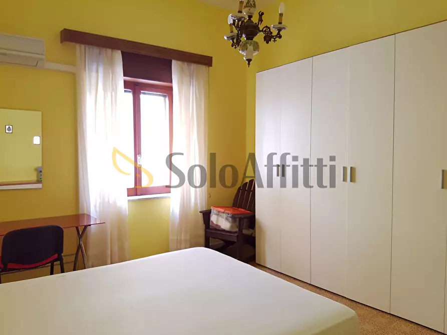 Immagine 5 di Trilocale in affitto  a Catanzaro
