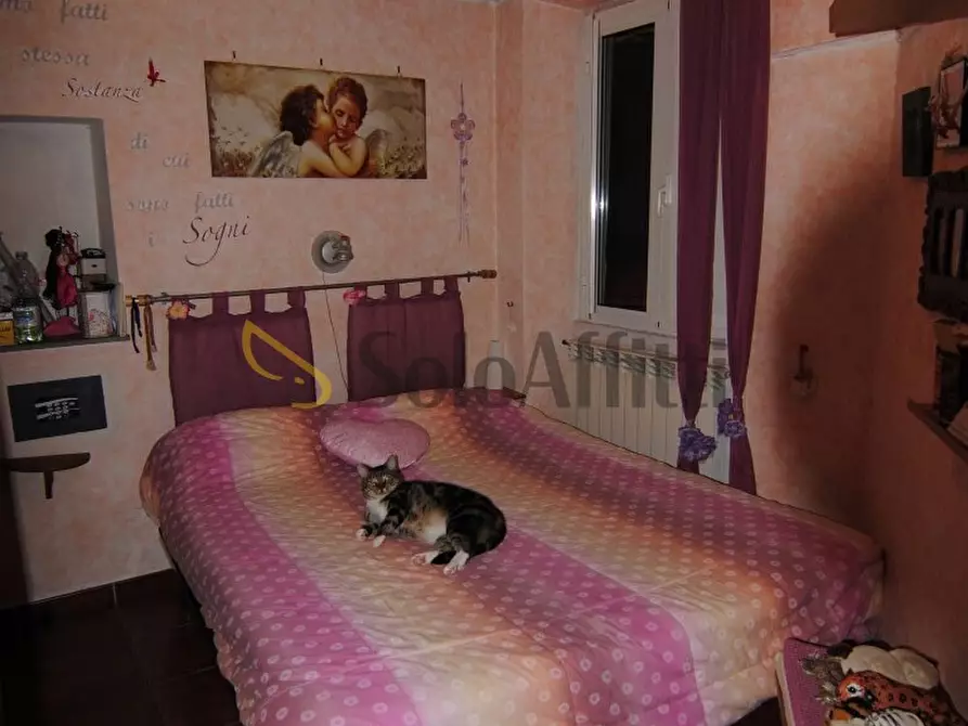 Immagine 13 di Trilocale in affitto  a Livorno