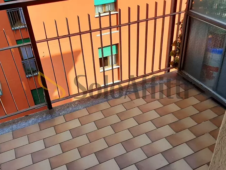 Immagine 16 di Bilocale in affitto  in Via Oreste Terenghi a Cinisello Balsamo
