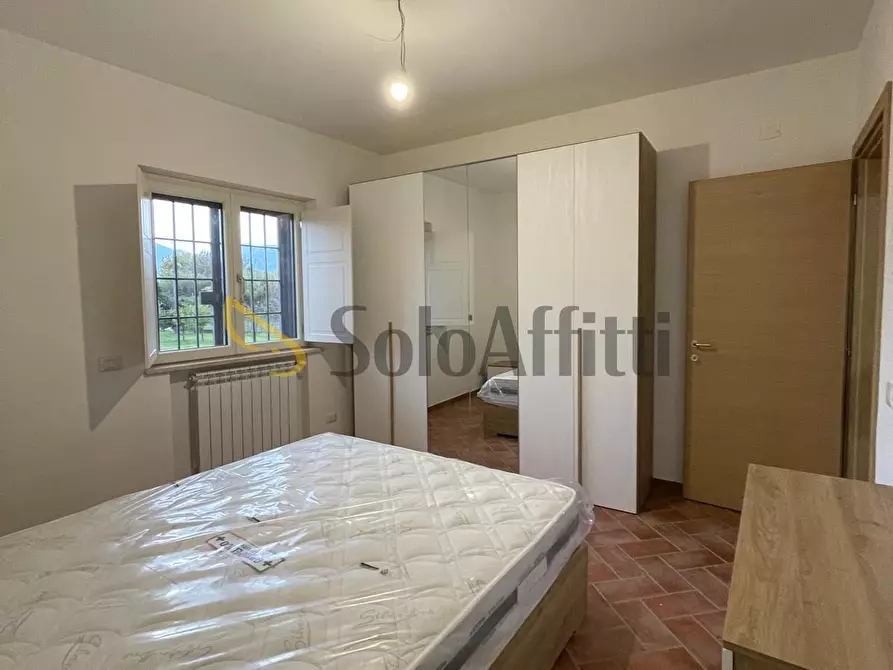 Immagine 9 di Villa in affitto  a Ferentino