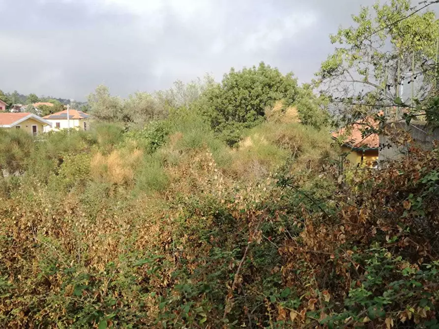 Immagine 6 di Terreno edificabile in vendita  a Mascalucia