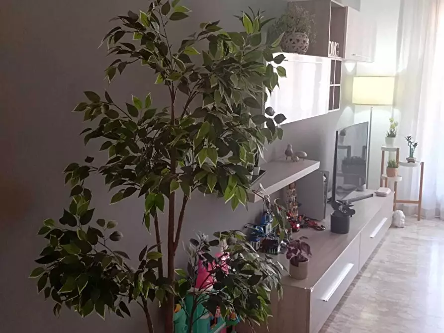 Immagine 7 di Trilocale in vendita  in Via Ragazzi del '99 9 a Parma