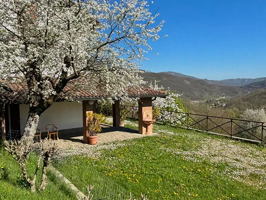 Immagine 18 di Casa indipendente in vendita  in Strada Bergotto 42 a Berceto