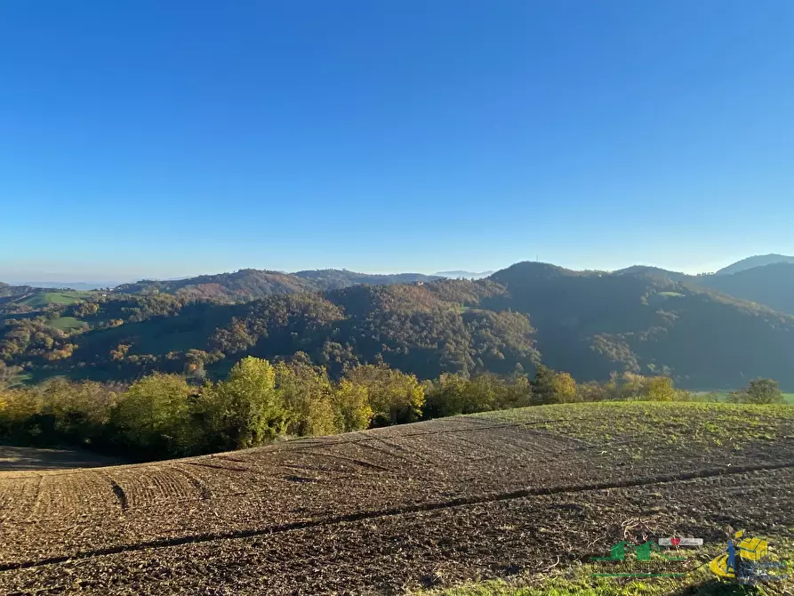 Immagine 2 di Casa indipendente in vendita  in Strada per Varano Marchesi 37 a Medesano