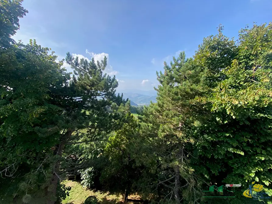 Immagine 6 di Casa indipendente in vendita  in via delle case vecchie 6 a Terenzo