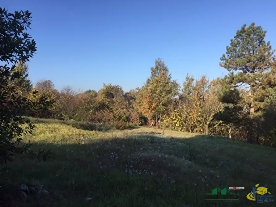 Immagine 1 di Terreno agricolo in vendita  in loc. Bezzo Bellini a Medesano