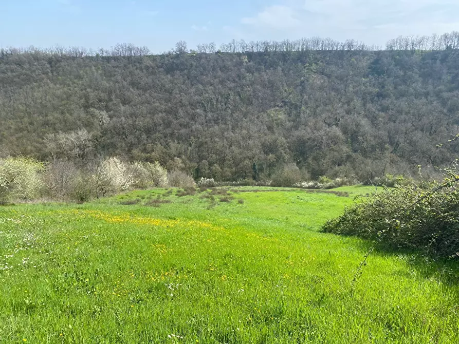 Immagine 1 di Terreno agricolo in vendita  in Miano a Medesano