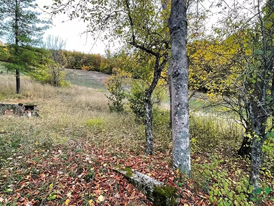 Immagine 15 di Rustico / casale in vendita  in pessola casa gasparone 81 a Varsi
