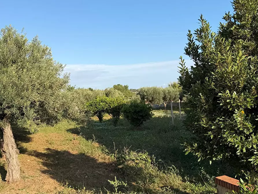 Immagine 2 di Villa in vendita  in SP45 5 a Modica