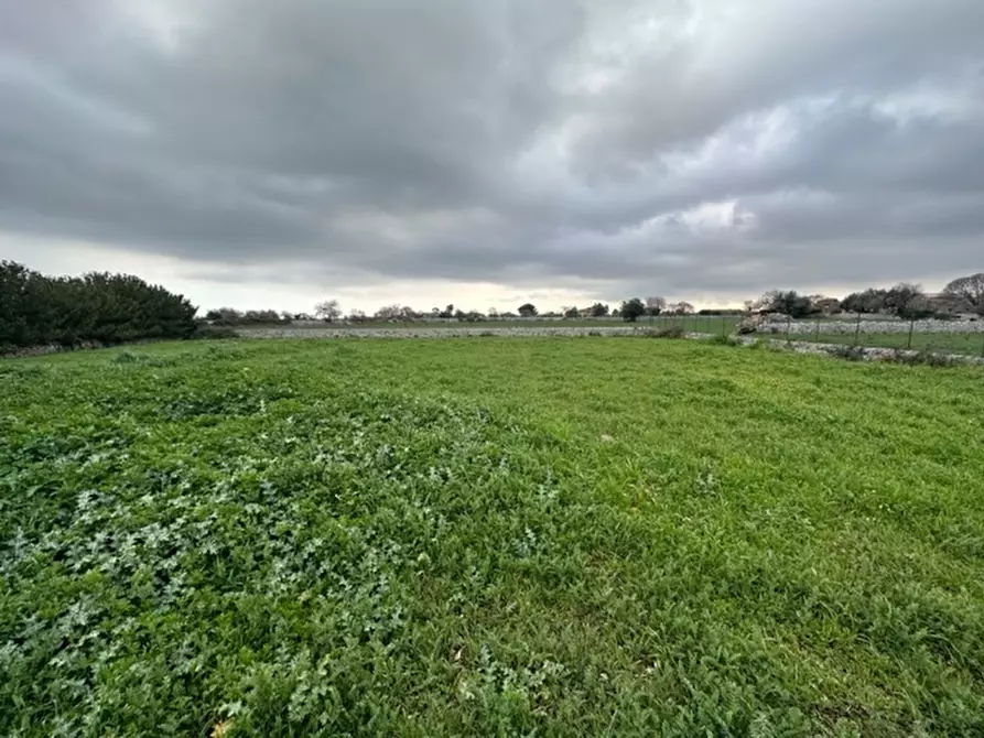 Immagine 20 di Rustico / casale in vendita  in SP70 15 a Modica