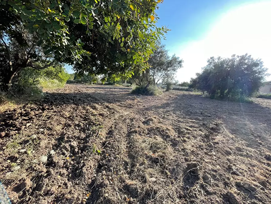 Immagine 11 di Casa indipendente in vendita  in SP23 a Modica