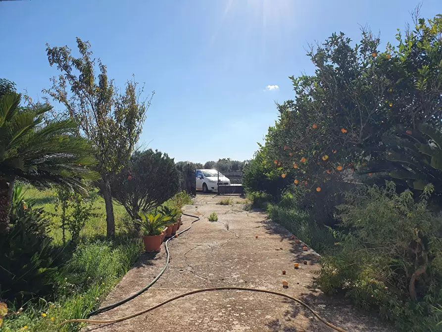 Immagine 20 di Villa in vendita  a Modica